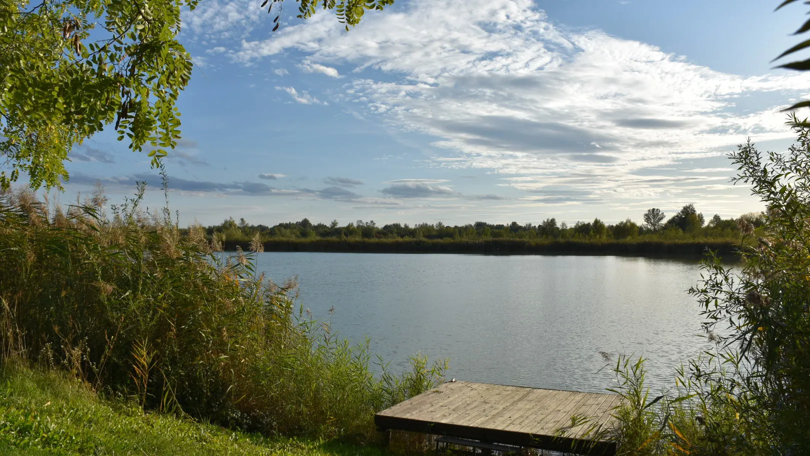 Łowisko Fish Zone